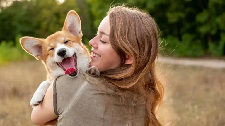 Cuidados e carinhos com os pets.