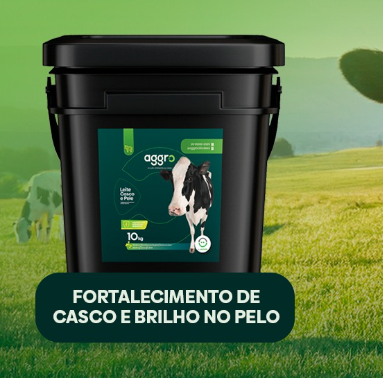 Captura de tela 2025-11-14 141852