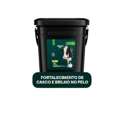 transparent-Photoroom