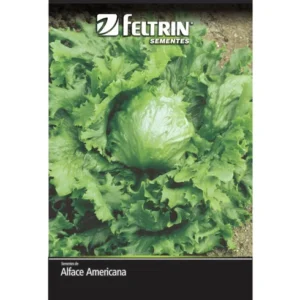 SEMENTE ALFACE AMERICANA GRANDES LAGOS 659 EV