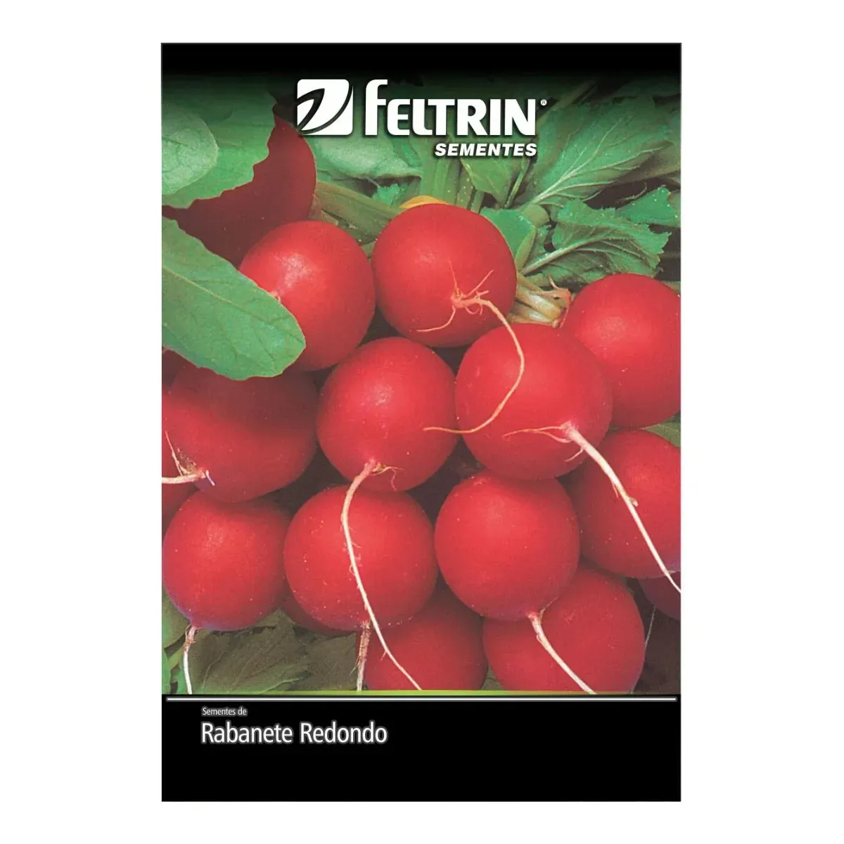 SEMENTE RABANETE VIP CRIMSON 10G EV