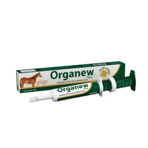 ORGANEW PASTA 32 G