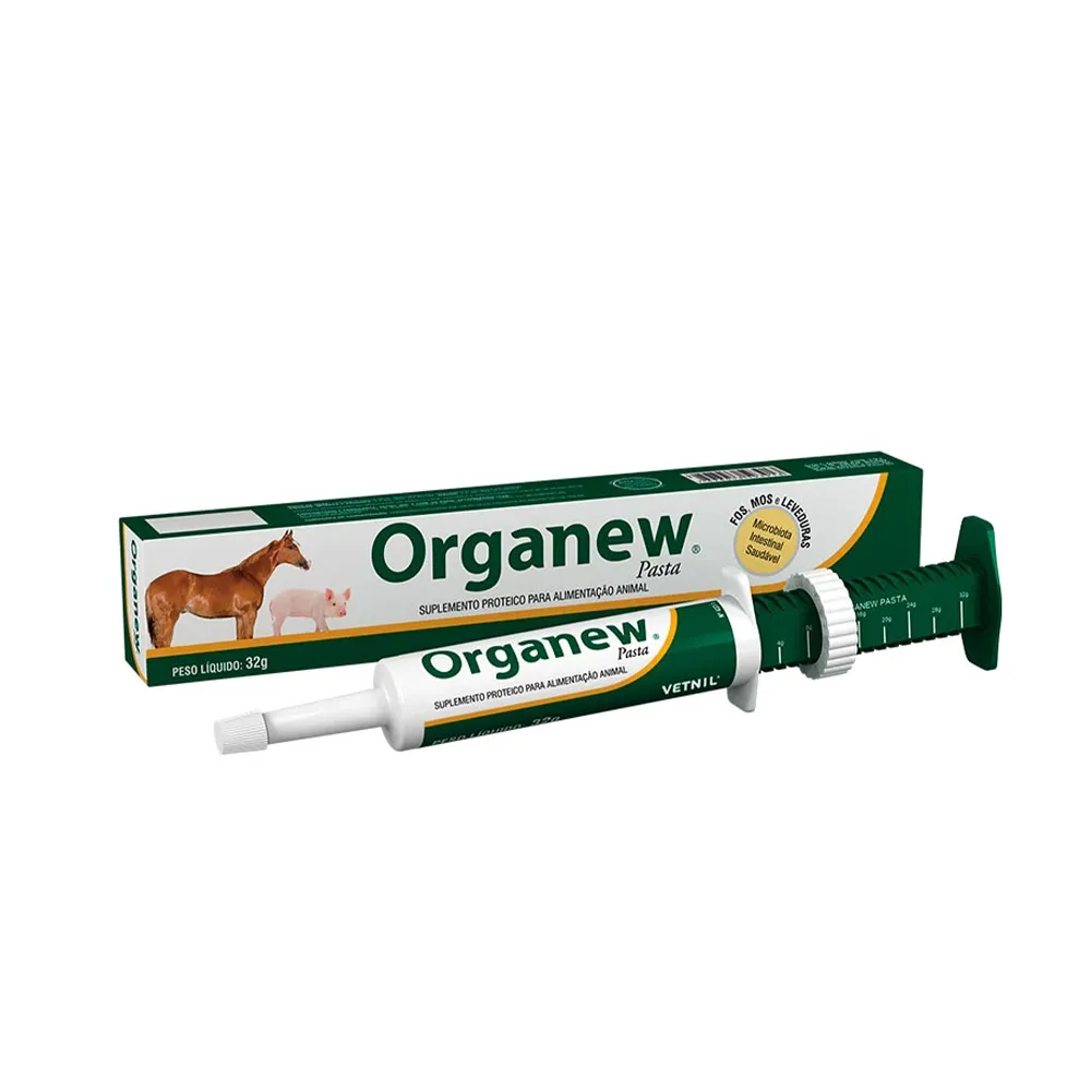 ORGANEW PASTA 32 G