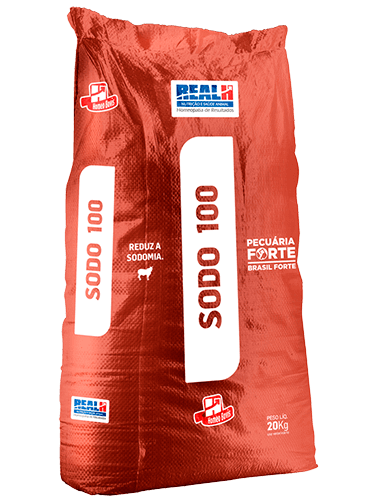 SODO 100 20 KG