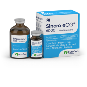 SINCRO ECG 6000 UI 30 ML